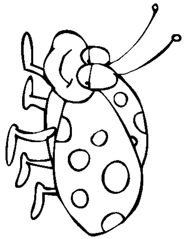 Coloriage d'une coccinelle sur une feuille verte