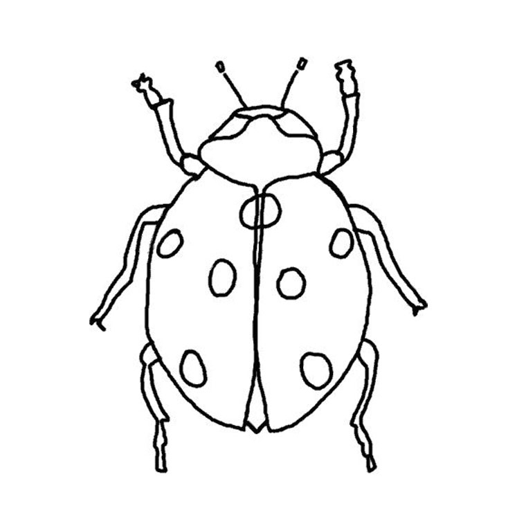 Coloriage d'une coccinelle sur une feuille