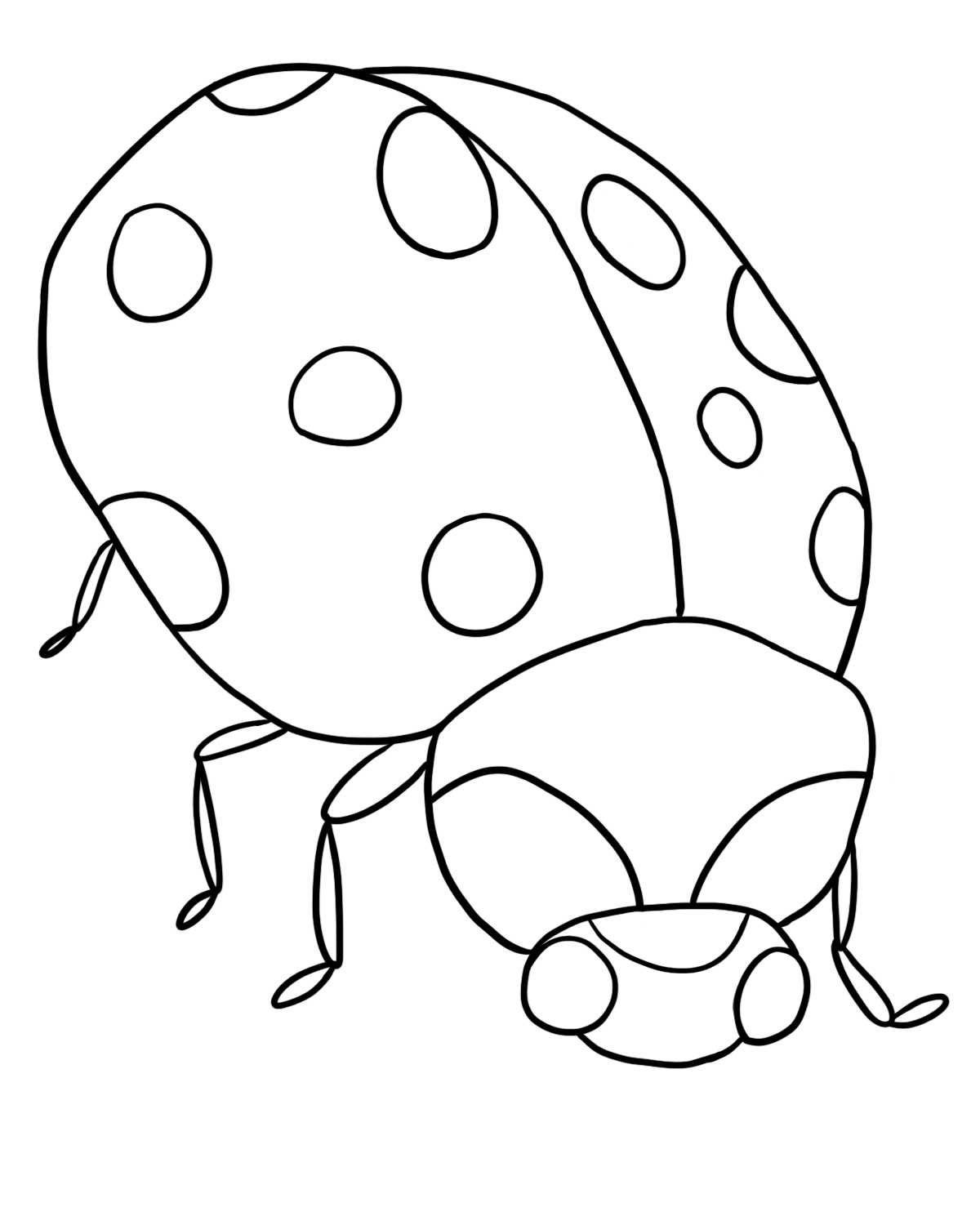 Coloriage d'une coccinelle sur une feuille