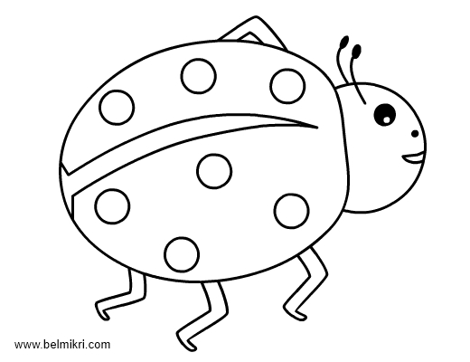 Coloriage d'une coccinelle sur une feuille verte Coloriage d'une coccinelle sur une feuille verte