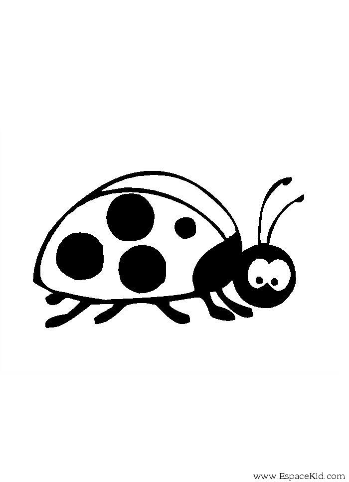 Coloriage d'une coccinelle sur une feuille verte