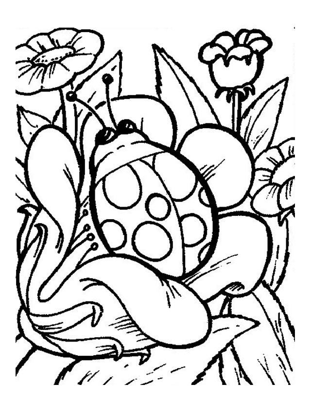 Coloriage d'une coccinelle sur une feuille