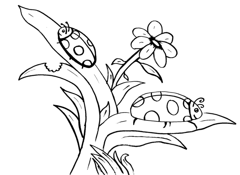 Coloriage d'une coccinelle sur une feuille avec des motifs de fleurs