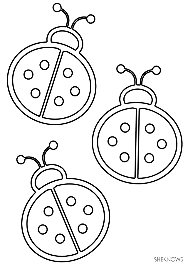 Coloriage d'une coccinelle sur une feuille
