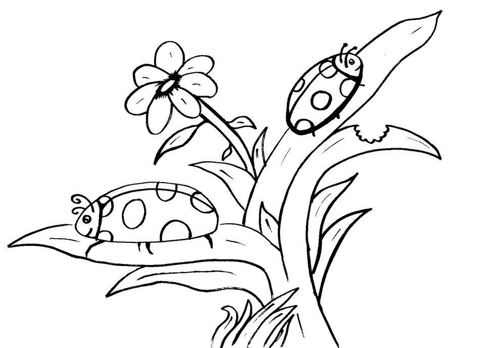 Coloriage d'une coccinelle sur une feuille verte