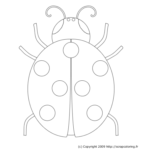 Coloriage d'une coccinelle sur une feuille verte
