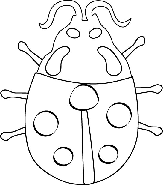 Coloriage d'une coccinelle sur une feuille avec des détails floraux