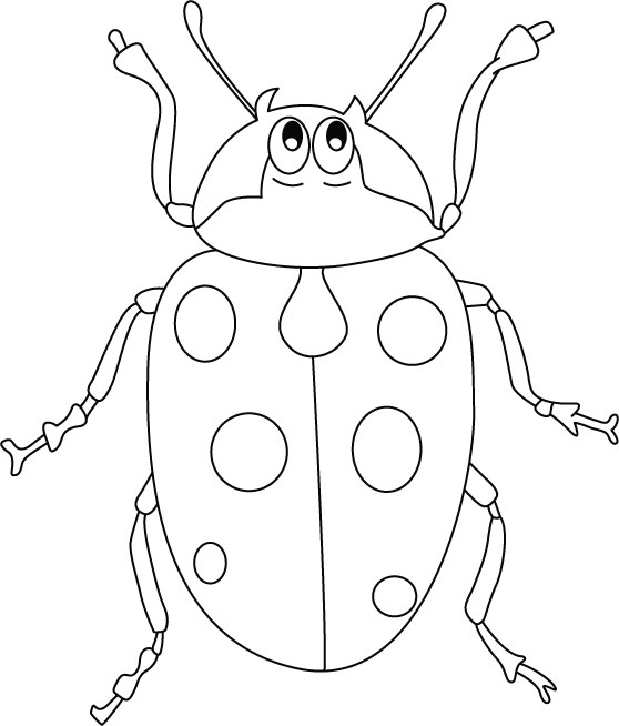 Coloriage d'une coccinelle sur une feuille verte