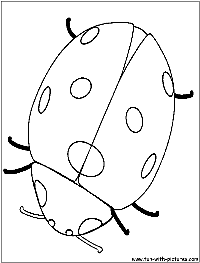Coloriage d'une coccinelle sur une feuille