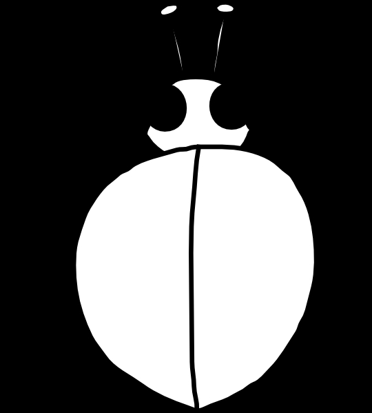 Coloriage d'une coccinelle sur une feuille verte