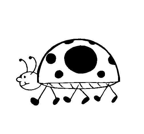 Coloriage d'une coccinelle sur une feuille de papier