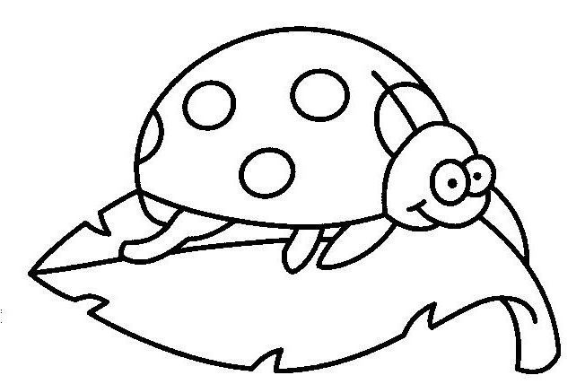 Coloriage d'une coccinelle joyeuse sur une feuille