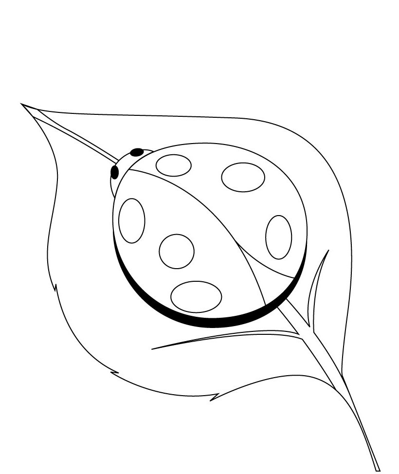 Coloriage d'une coccinelle sur une feuille verte