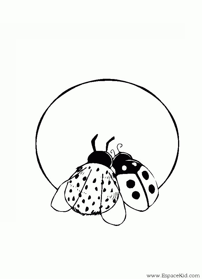 Coloriage d'une coccinelle sur une feuille verte