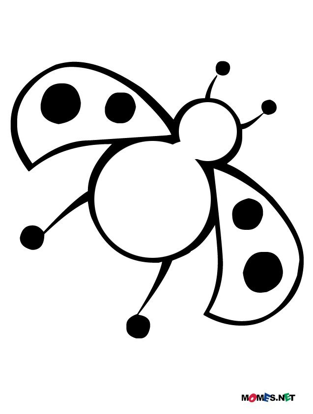 Coloriage d'une coccinelle sur une feuille verte