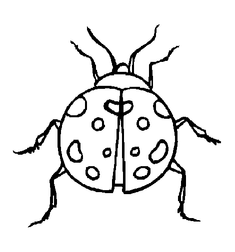 Coloriage d'une coccinelle posée sur une feuille