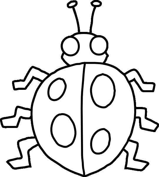 Coloriage d'une coccinelle sur une feuille