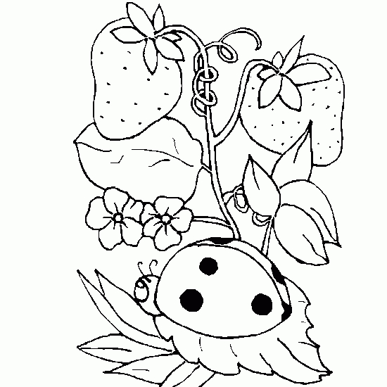 Coloriage d'une coccinelle sur une feuille de papier