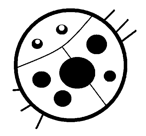 Coloriage d'une coccinelle sur une feuille verte
