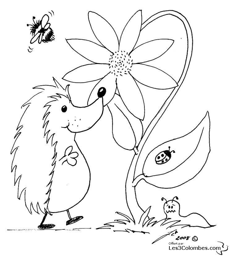 Coloriage d'une coccinelle sur une feuille verte