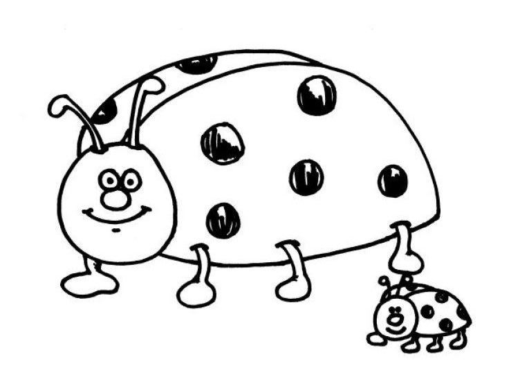 Coloriage d'une coccinelle sur une feuille