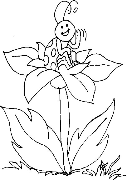 Coloriage d'une coccinelle sur une feuille de verdure