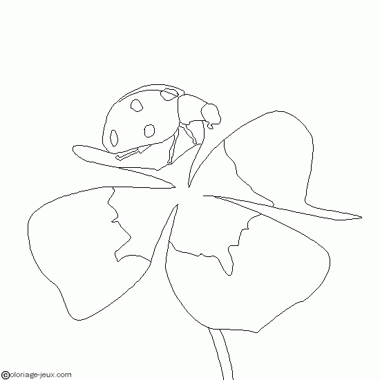 Coloriage d'une coccinelle sur une feuille