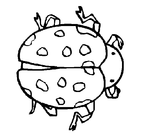 Coloriage d'une coccinelle sur une feuille avec des détails naturels
