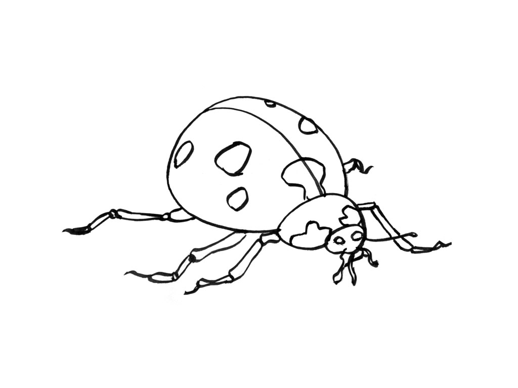Coloriage d'une coccinelle sur une feuille de plante