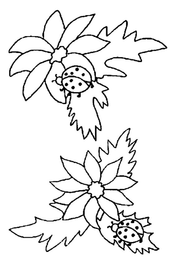Coloriage de coccinelle marchant sur une feuille