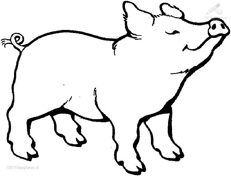 Un cochon amusant se prélassant dans la verdure