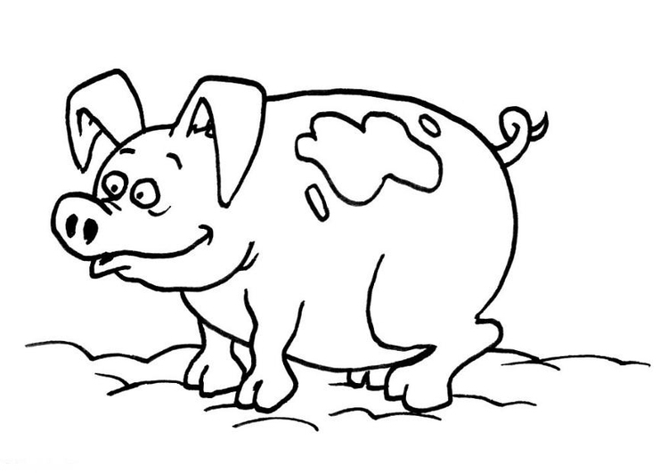 Un cochon joyeux dans un champ verdoyant