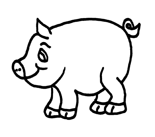 Un cochon souriant dans un champ verdoyant