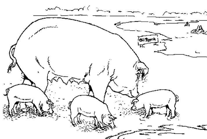 Un cochon s'amusant dans un champ verdoyant