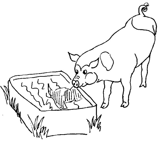 Un cochon souriant se prélasse dans un champ verdoyant