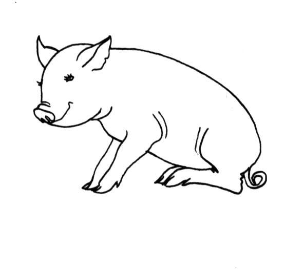 Un cochon souriant dans un champ verdoyant