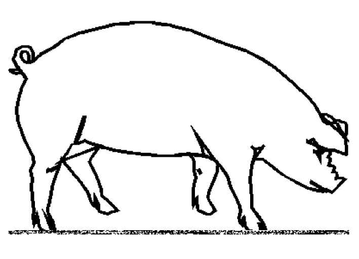Un cochon joyeux au milieu d'une prairie verdoyante