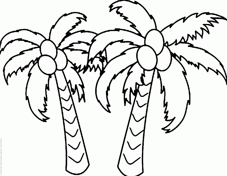 Coloriage d'un cocotier sur une plage ensoleillée