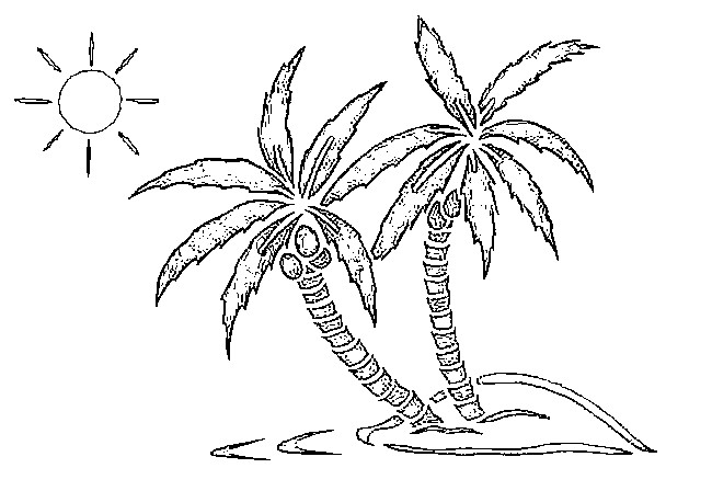 Coloriage d'un cocotier surplombant une plage tropicale