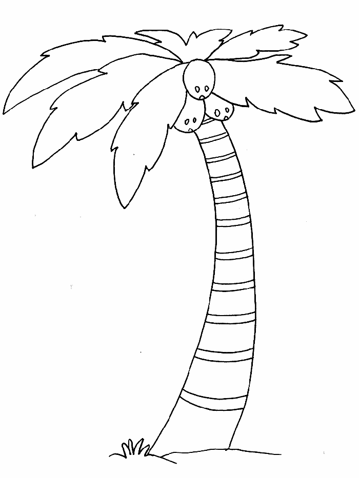 Coloriage d'un cocotier sur une plage tropicale