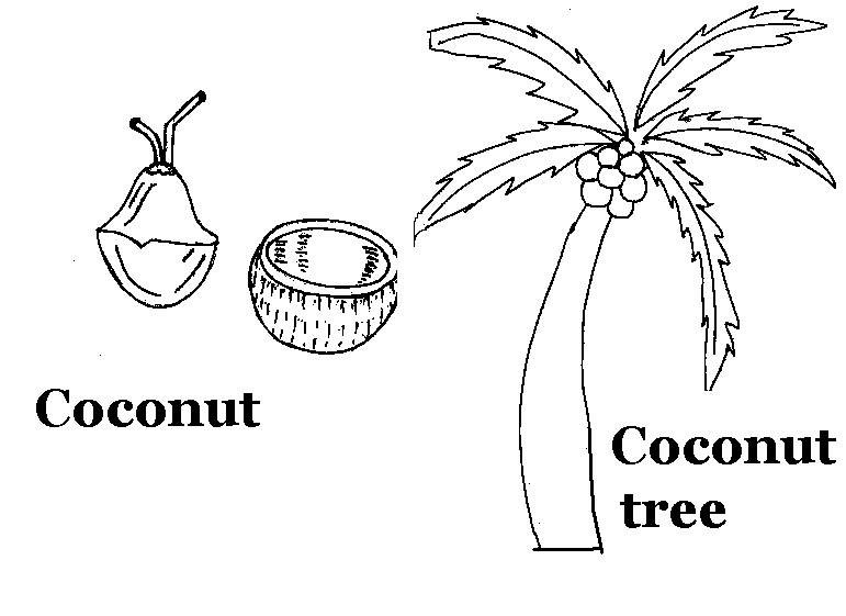 Coloriage d'un cocotier sur une plage ensoleillée
