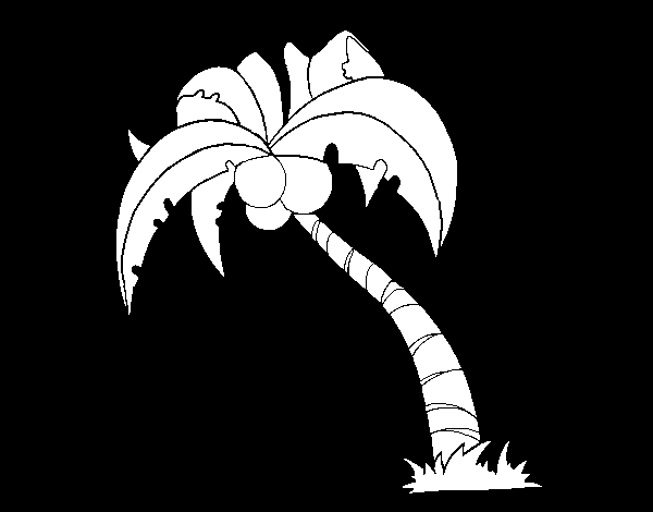 Coloriage d'un cocotier sur une plage ensoleillée