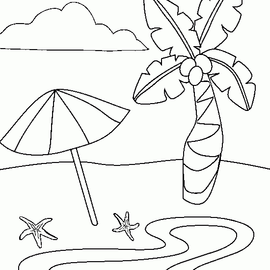 Coloriage d'un cocotier sous un ciel ensoleillé
