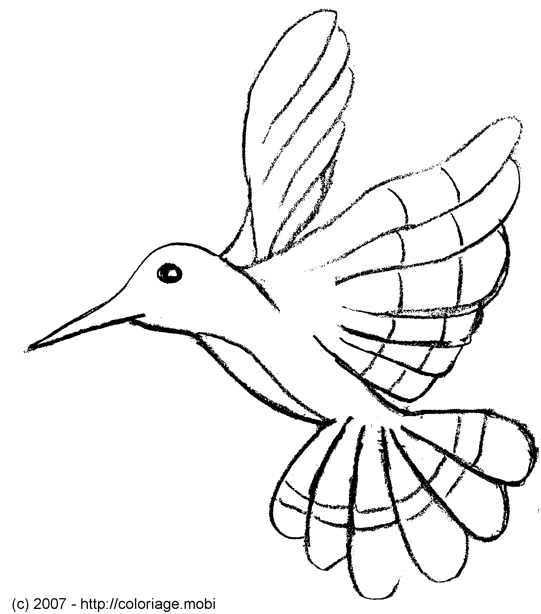 Colibri en vol sur fond de fleurs stylisées