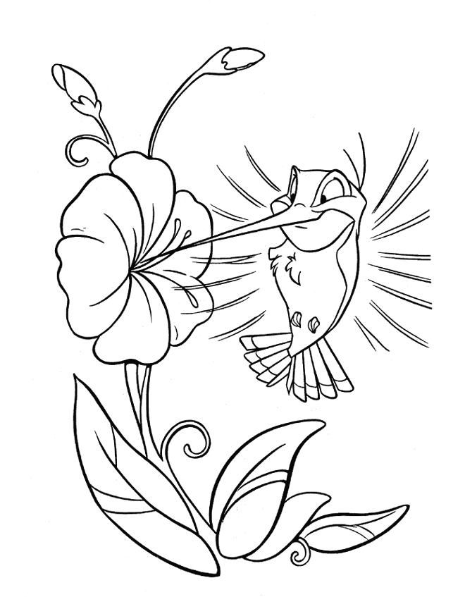 Colibri en plein vol parmi des fleurs stylisées