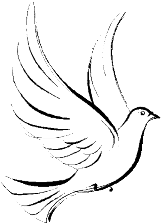 Colombe en vol sur un fond de nuages