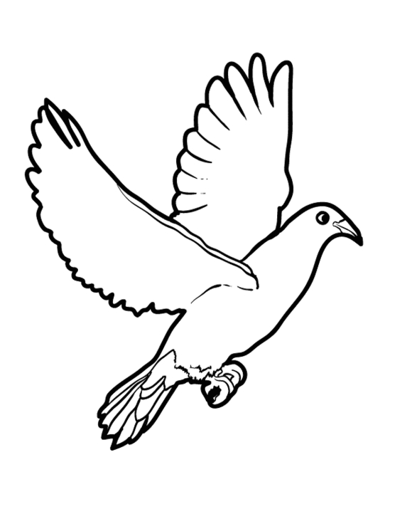 Colombe en plein vol avec des nuages en arrière-plan