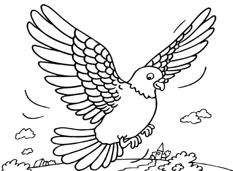 Colombe en plein vol dans un ciel dégagé