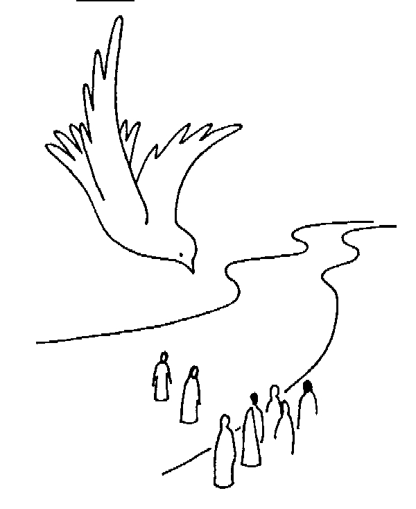 Colombe en plein vol sur un ciel apaisant