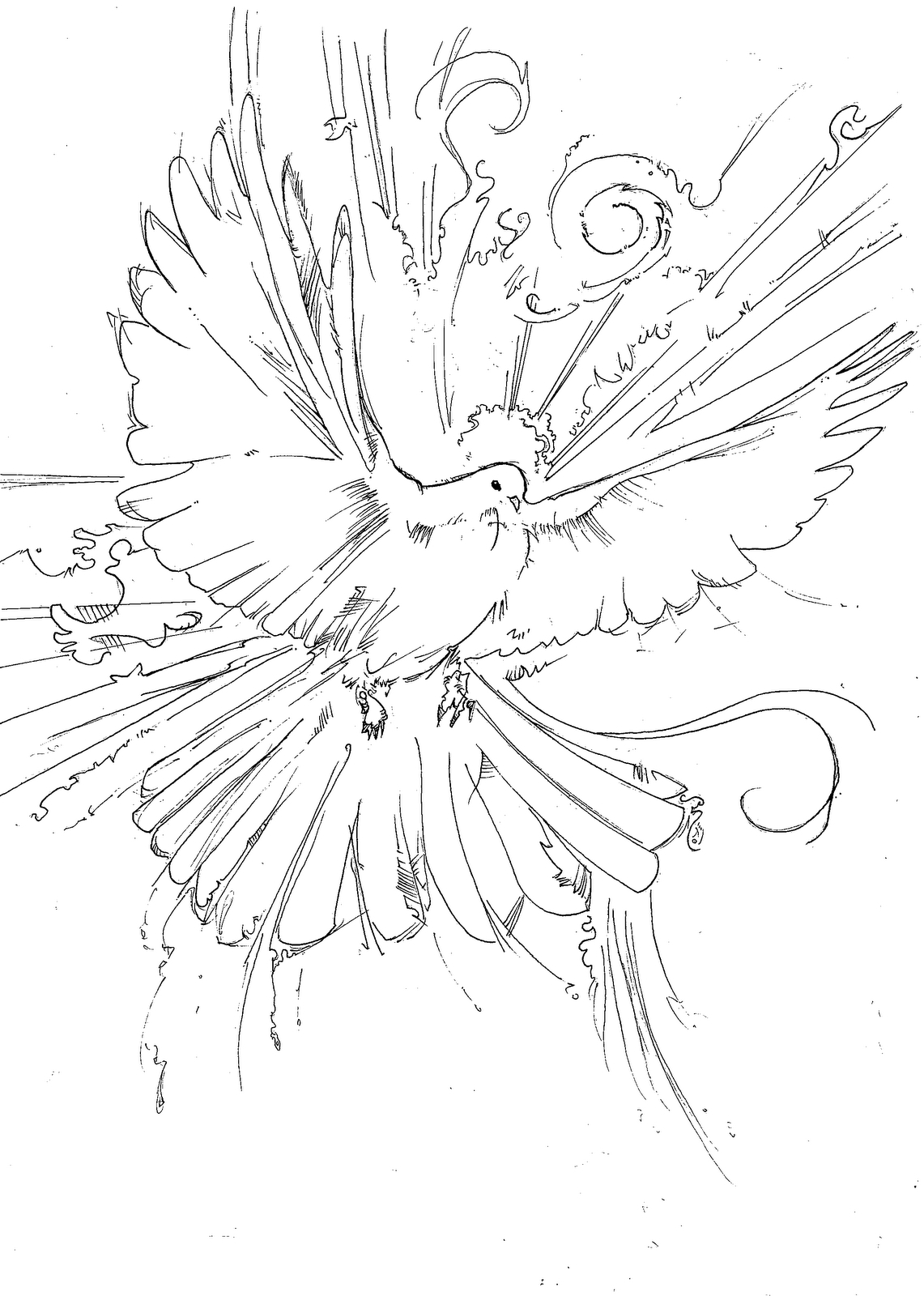 Colombe en plein vol sur fond de nuages